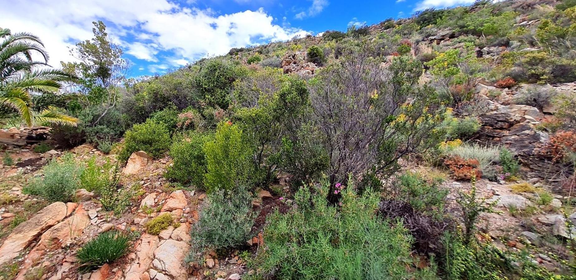 Montagu Little Sanctuary - Hot Spring Access At Reduced Price Apartment Стая снимка