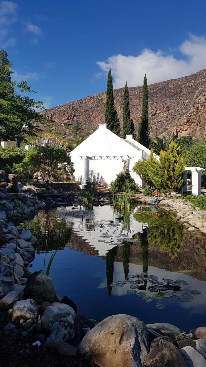 Montagu Little Sanctuary - Hot Spring Access At Reduced Price Apartment Екстериор снимка