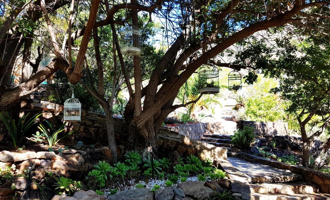 Montagu Little Sanctuary - Hot Spring Access At Reduced Price Apartment Екстериор снимка