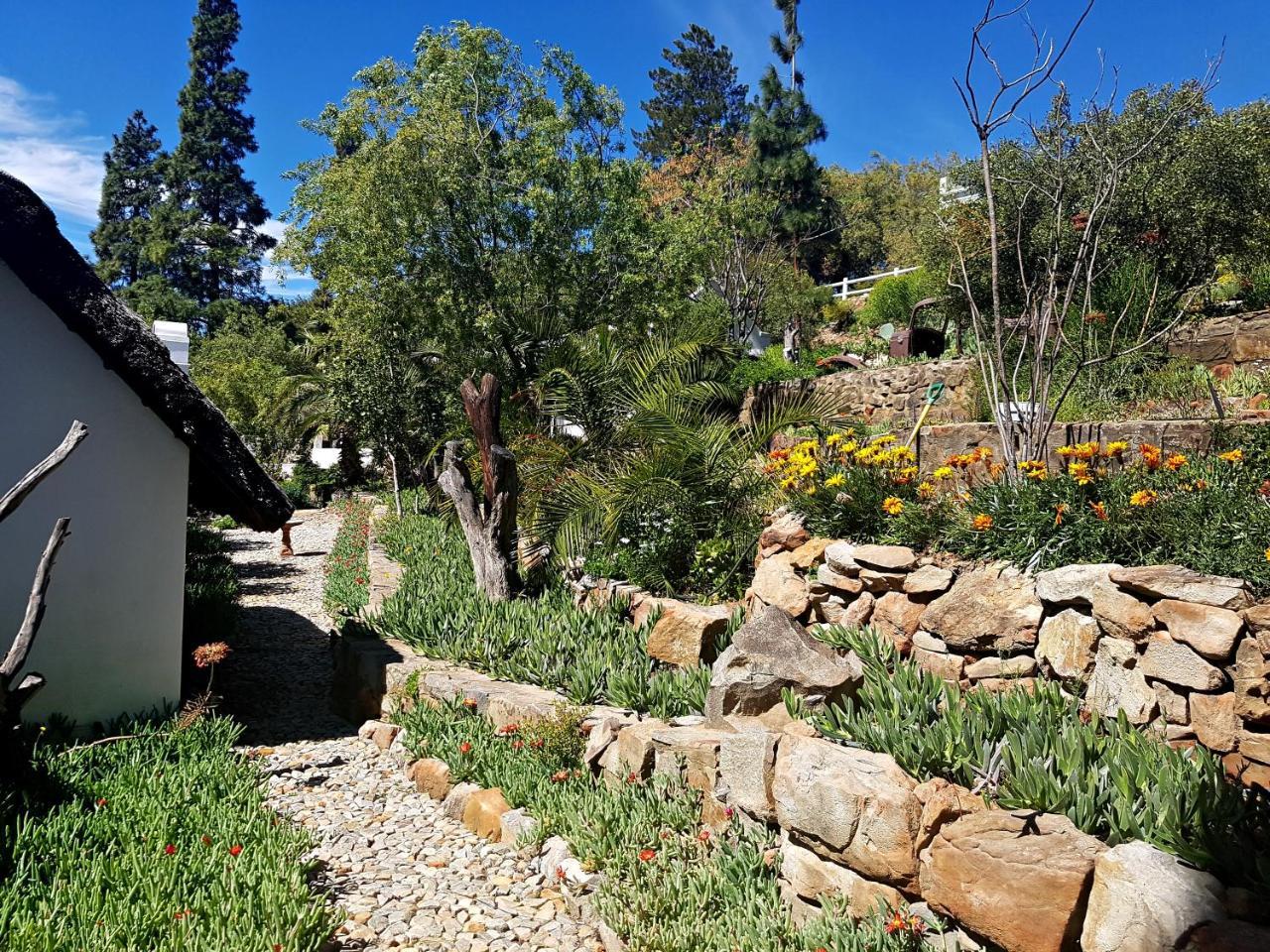 Montagu Little Sanctuary - Hot Spring Access At Reduced Price Apartment Екстериор снимка
